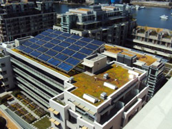 Greenroof & Solar Panel
